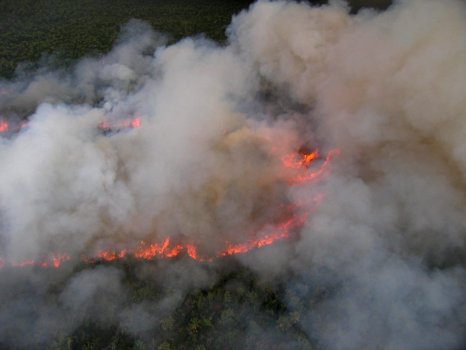 Coastal Prairie Burn30
