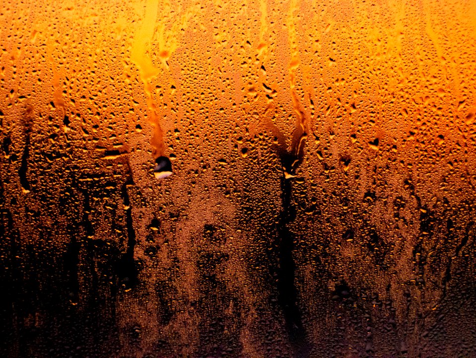 Sunrise-illuminated Water Droples