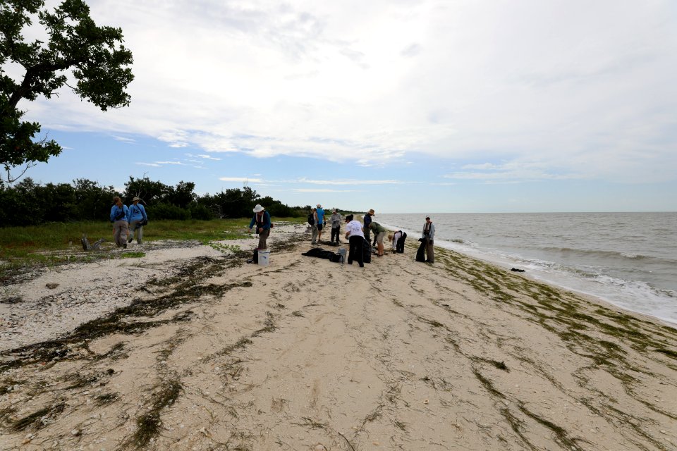 NPSPhoto M.Collier 2019 CS BeachClean EastCape (6)