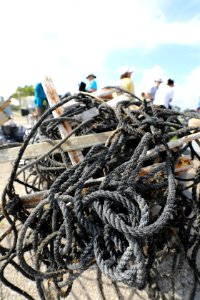 NPSPhoto M.Collier 2019 CS BeachClean WeighingTrash (11)