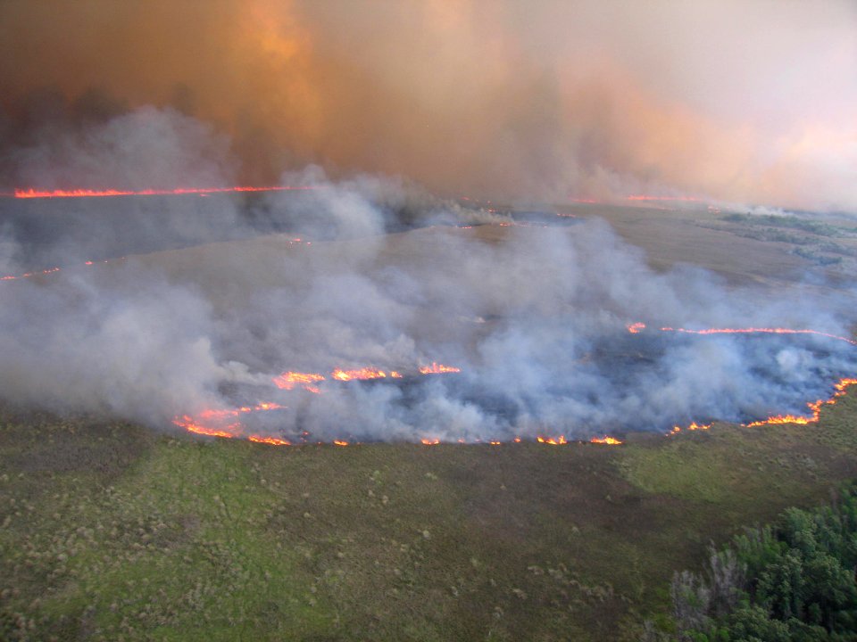 Coastal Prairie Burn16