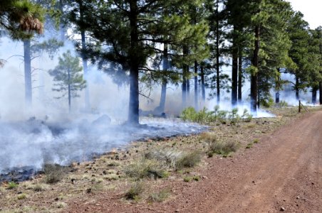 Woody Ridge Rx Burn 4-7-16