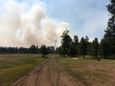 Snake Ridge Fire (May 27, 2017)