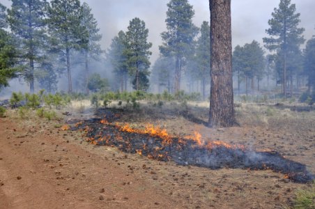 Woody Ridge Rx Burn 4-7-16