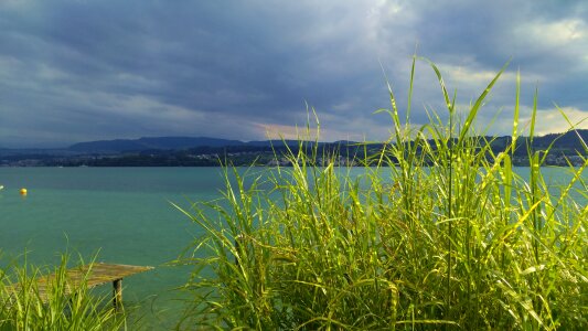 Lakeside grass enjoy