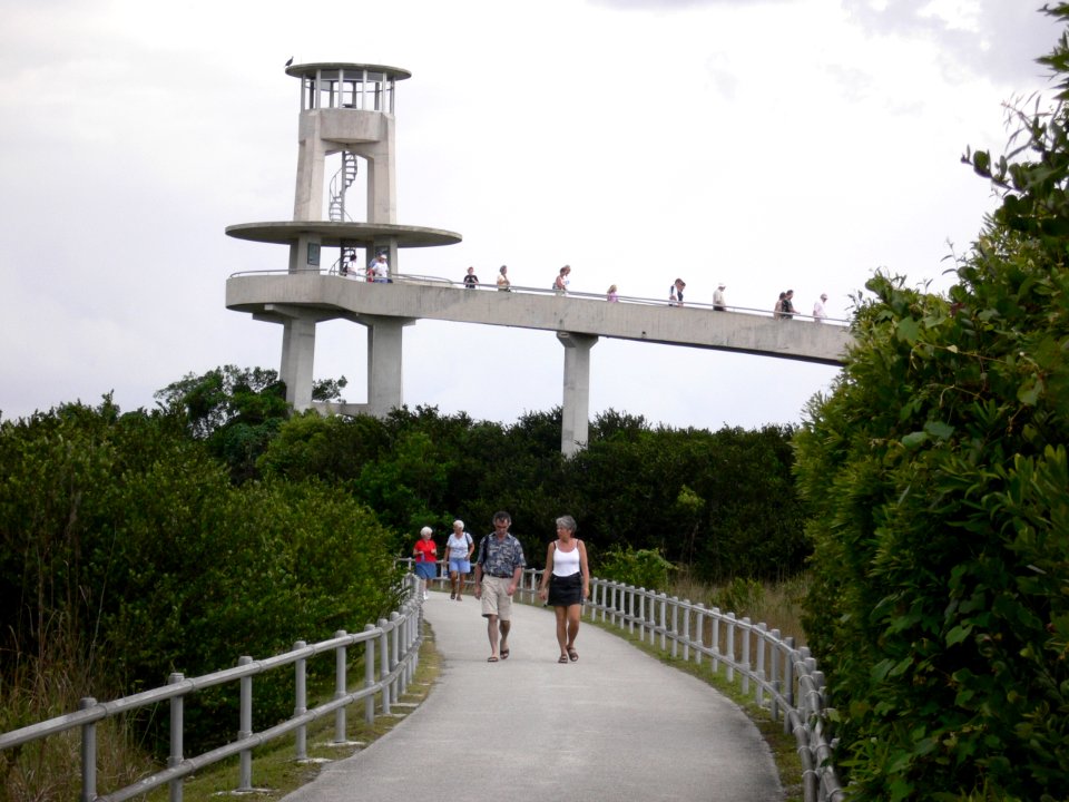Shark Valley Tower 1, NPSPhoto