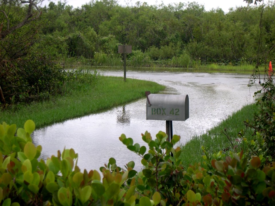 Hurricane Katrina & Wilma 2005 (10), NPSPhoto