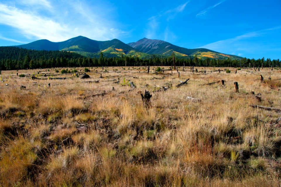 Around the Peaks Loop: FR 418