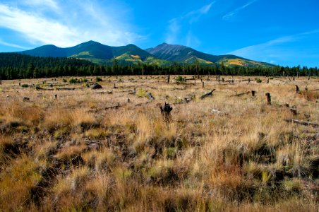 Around the Peaks Loop: FR 418