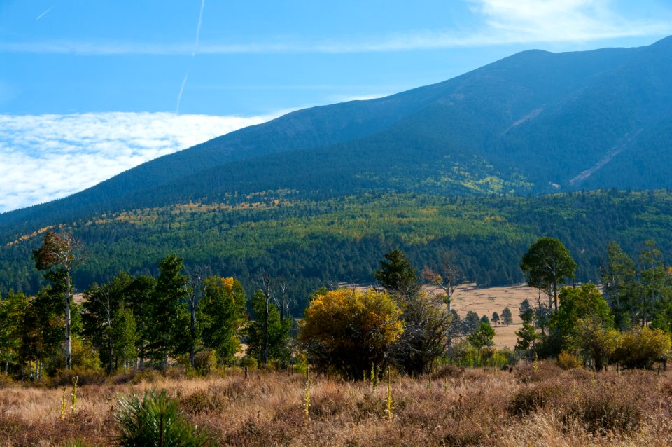Around the Peaks Loop: Hart Prarie Road