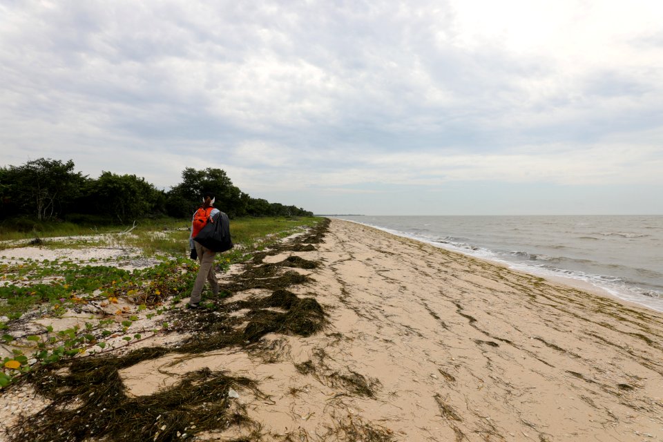 NPSPhoto M.Collier 2019 CS BeachClean EastCape (11)
