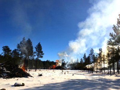 Pile burning slash from a timber sale
