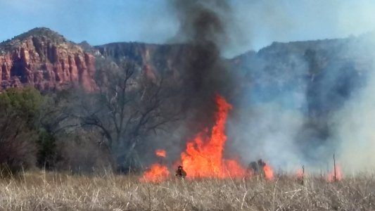Wildland Fire Training at Crescent Moon