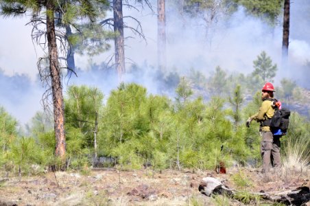 Woody Ridge Rx Burn 4-7-16