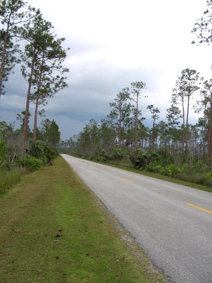 Long Pine Key Nature Trail (11), NPSPhoto