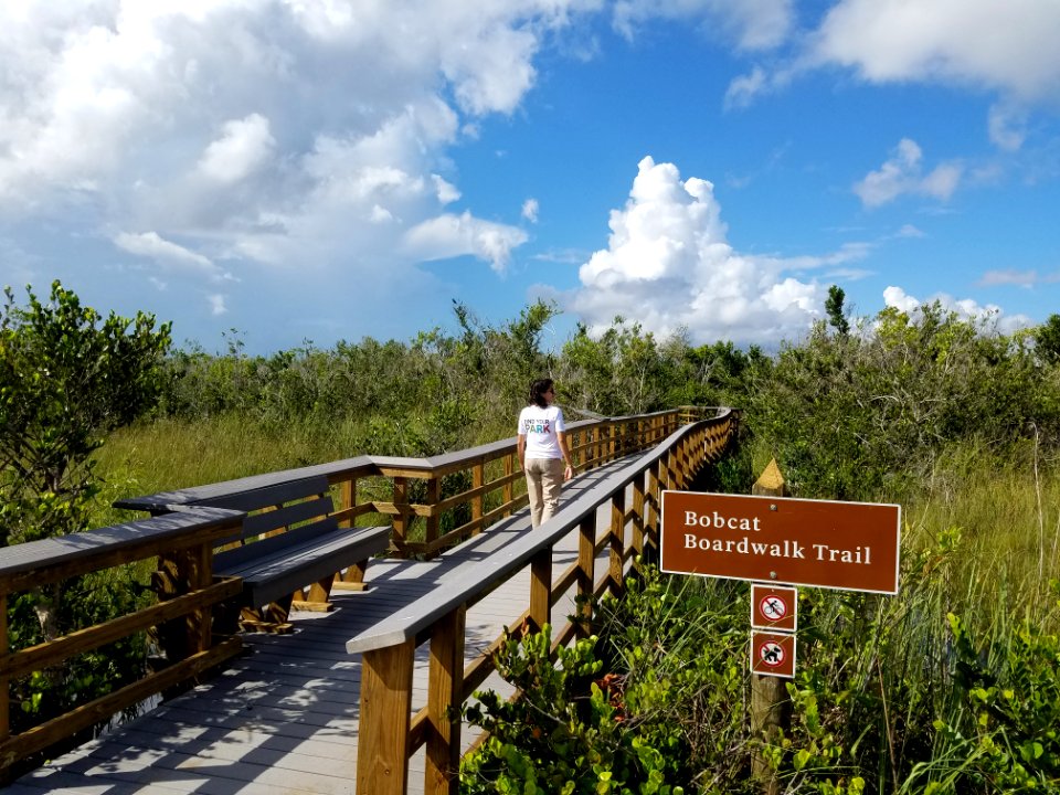 Bobcat Boardwalk Opening