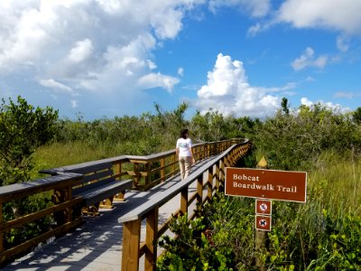 Bobcat Boardwalk Opening
