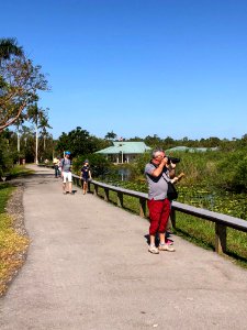 Anhinga Trail