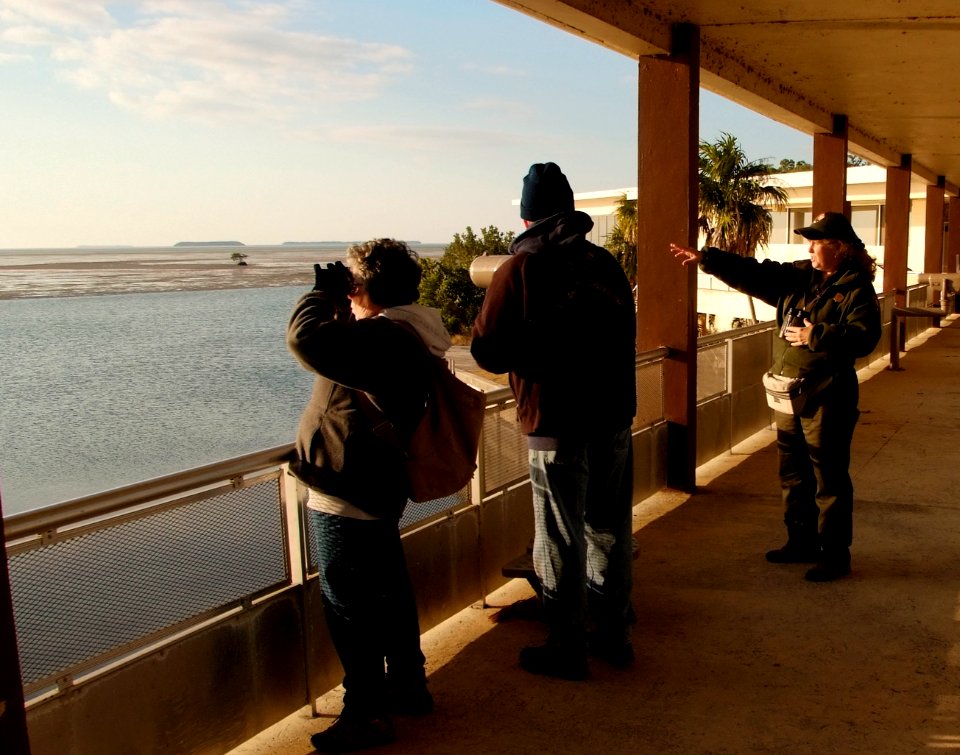 Bird Watching, NPSPhoto