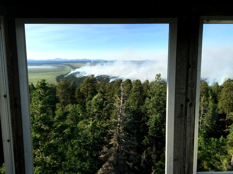 Camillo Fire 2015-06-18: Hutch L.O. View