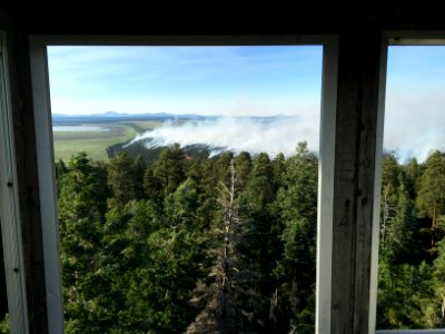 Camillo Fire 2015-06-18: Hutch L.O. View