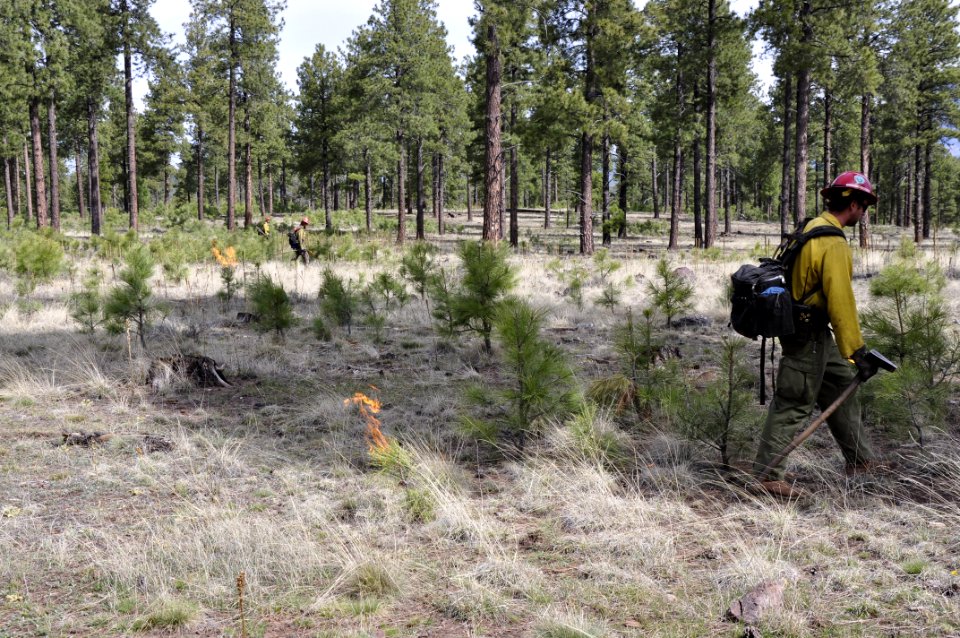 Woody Ridge Rx Burn 4-7-16