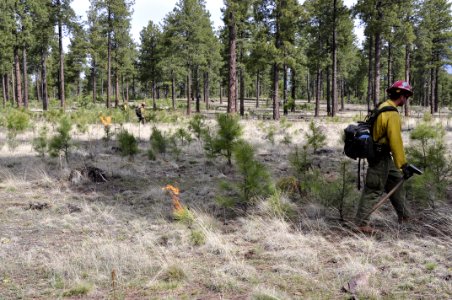 Woody Ridge Rx Burn 4-7-16