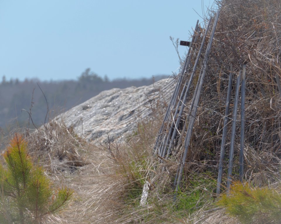 Beachside fence on a cliff, Phippsburg, Maine, USA