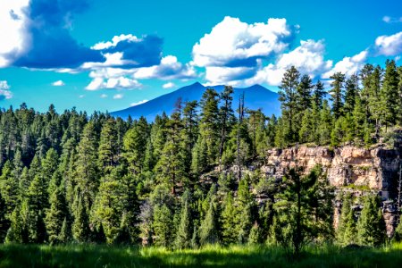 Canyon Vista Campground