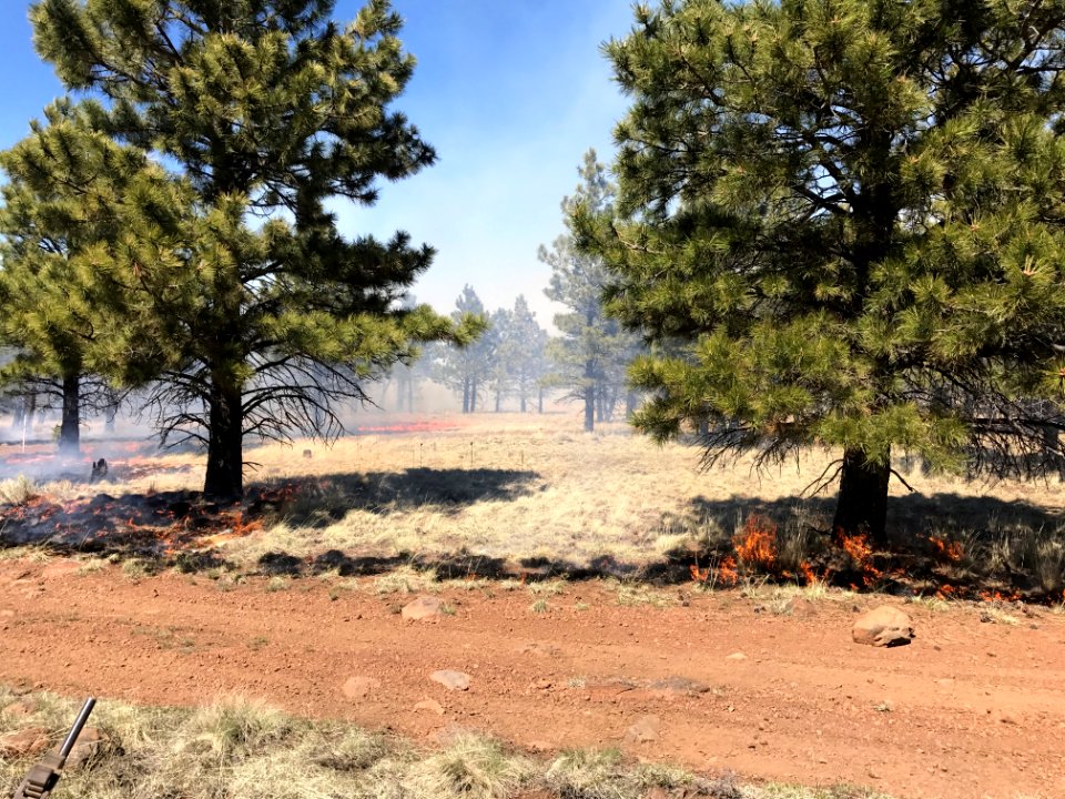 Horseshoe Prescribed Burn (April 20, 2017)