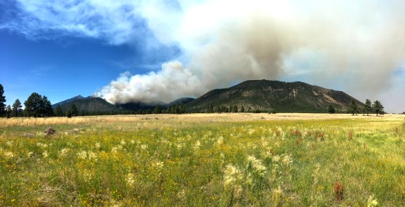 Museum Fire (July 2019)
