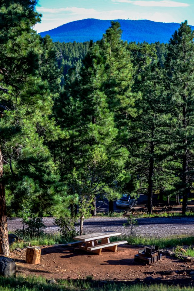 Lakeview (4 of 4)