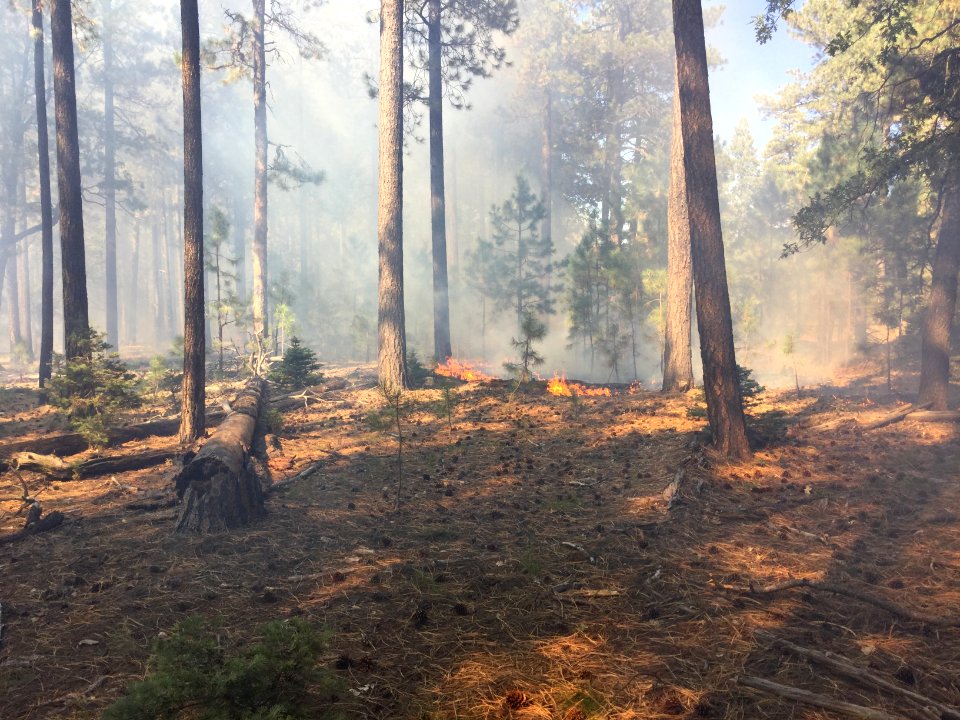 Pinchot Fire (September 25, 2016)