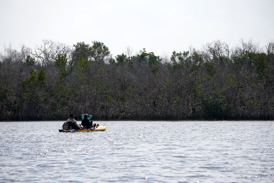 Kayakers at West Lake