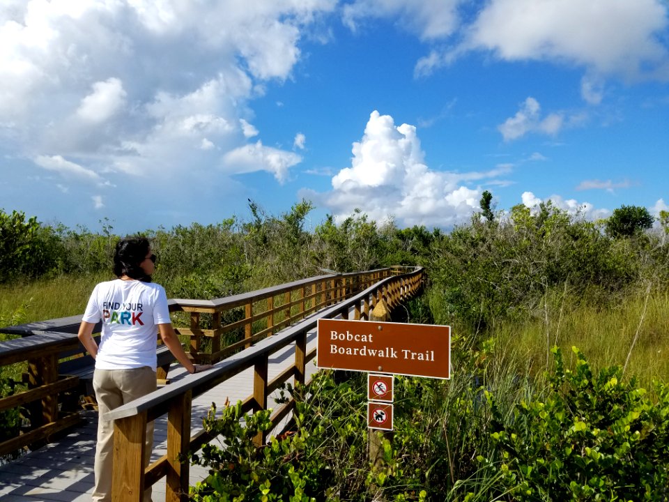 Bobcat Boardwalk Opening