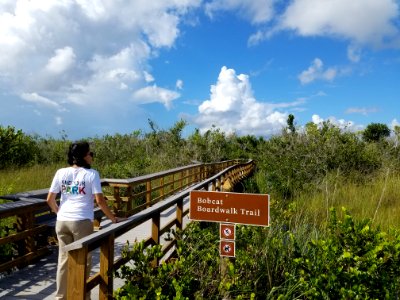 Bobcat Boardwalk Opening