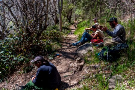 Fossil Springs Trail No. 18