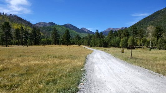 Lockett Meadow: September 19, 2017