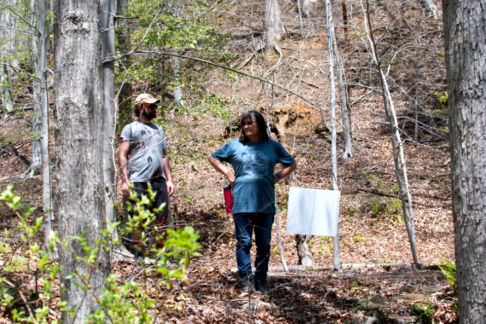 2018 Walk for the Woods Bacon Ridge Natural Area 576