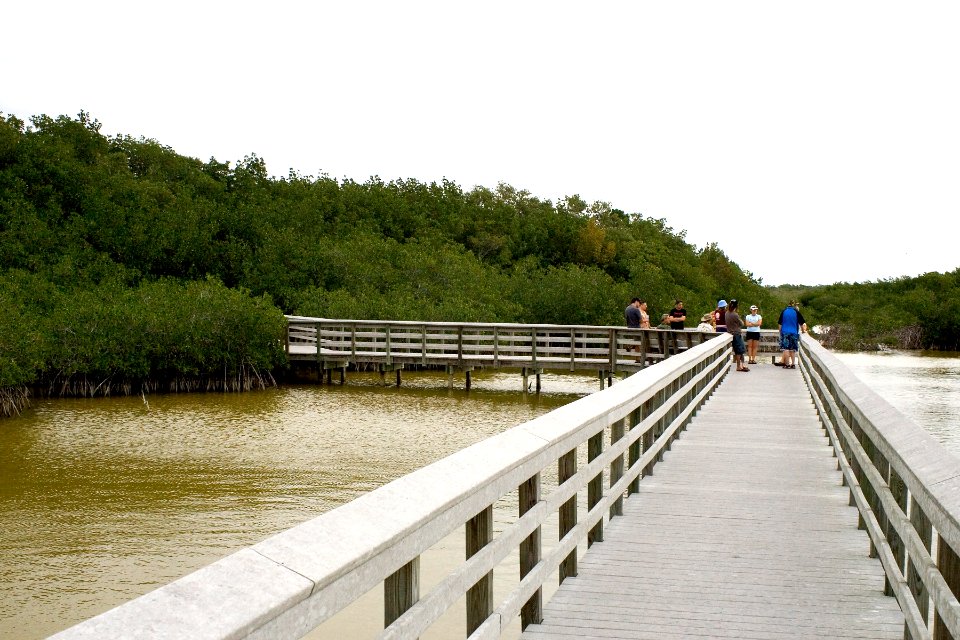 west lake boardwalk, NPSphoto