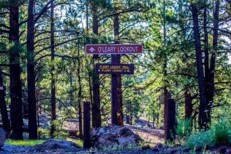 O'Leary Group Camp