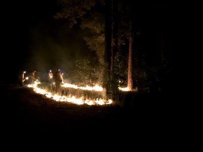 Horse Tank Fire 2015-06-21: Evening Burnout Operations
