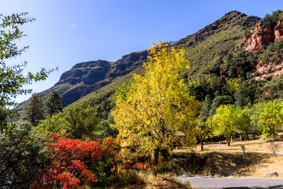 Encinoso picnic area (October 16, 2017)
