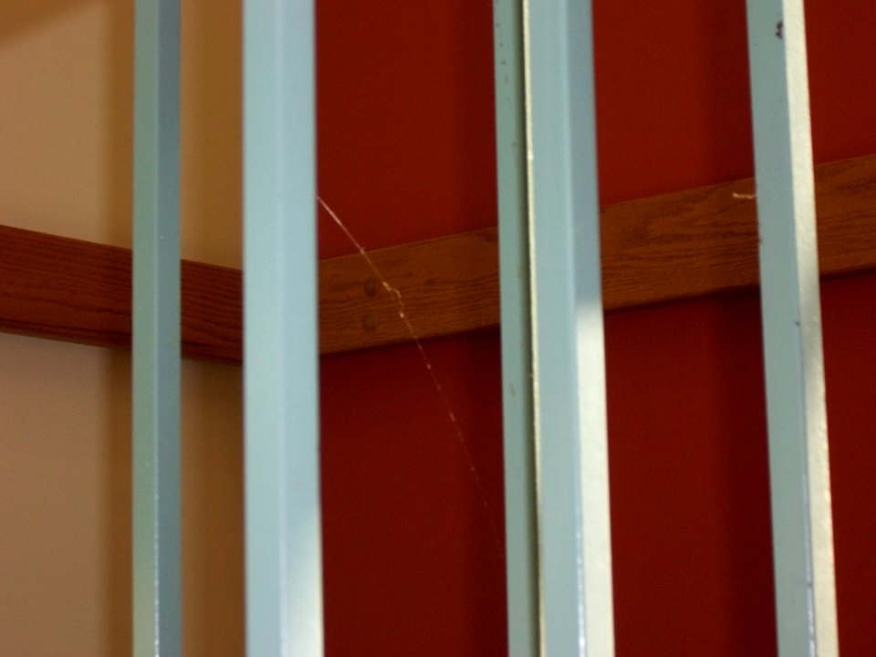 Stair Spider closeup
