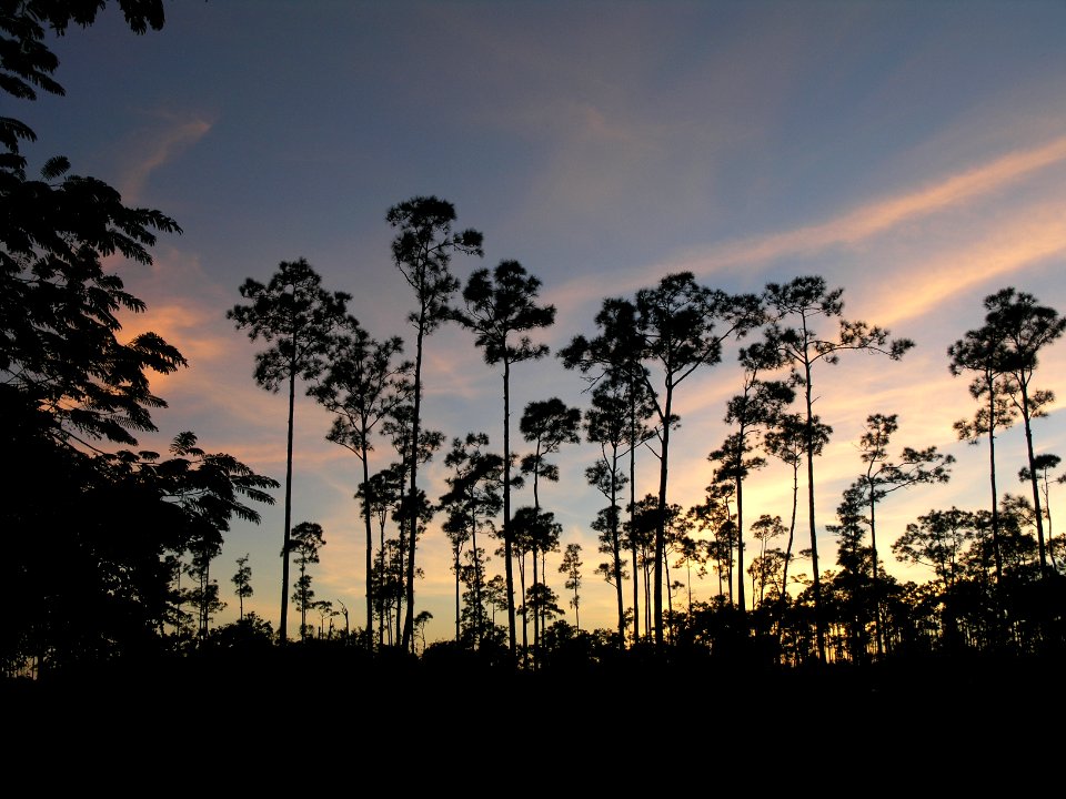 2004-11-22 Pine Island Sunset (my backyard), NPS Photo