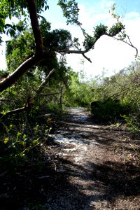 Otter Cave (16), NPSPhoto