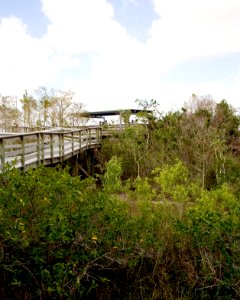 Pay-Hay-Okee Boardwalk (13), NPSPhoto