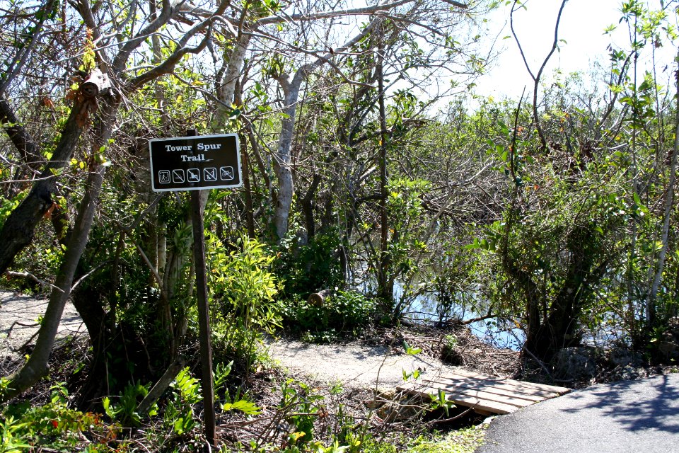Shark Valley Tram Road and Trail (7), NPSPhoto