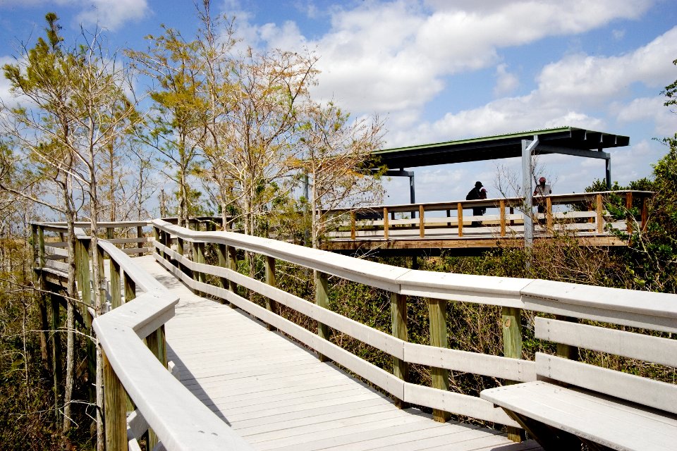 Pay-Hay-Okee Boardwalk (1), NPSPhoto