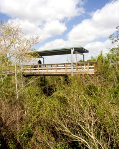Pay-Hay-Okee Boardwalk (3), NPSPhoto